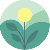 Cleveria Aula Virtual